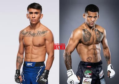 UFC 316：维拉退赛，米克斯替补迎战包蒂斯塔